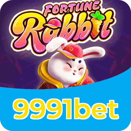 Suporte 9991bet